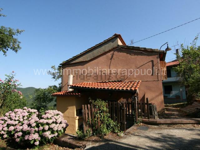 Rustico in vendita a Molin Bianco-Pian d'Usciano, Arezzo