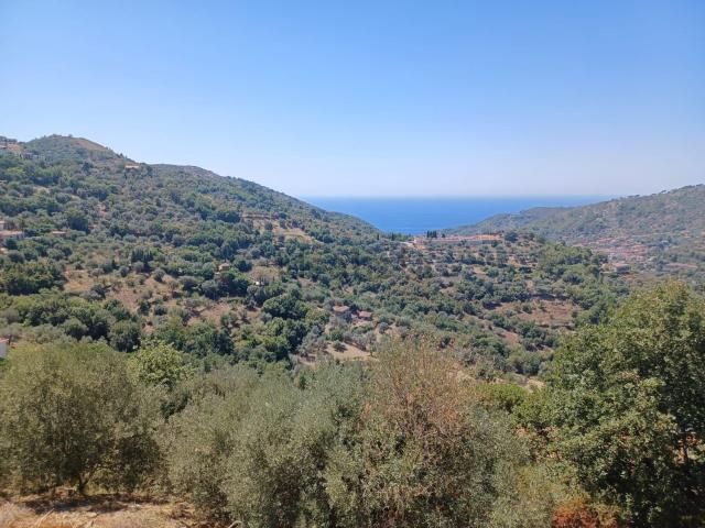 Rustico in vendita a Montecorice, Campania