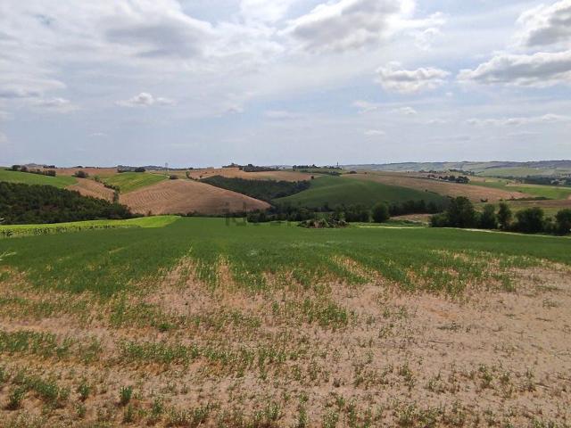 Rustico in vendita a Strada, Marche