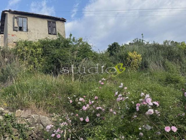 Rustico in vendita a Vallebona, Liguria