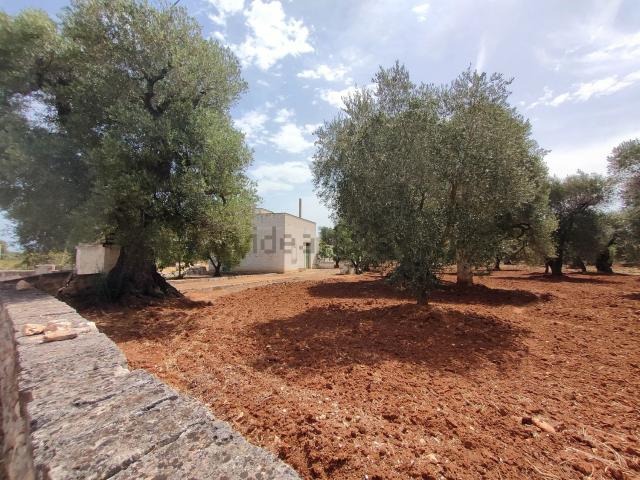 Rustico in vendita a Puglia, Brindisi