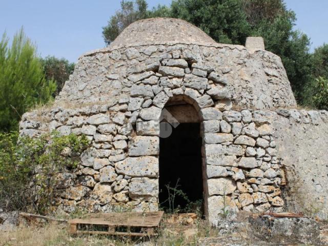 Rustico in vendita a Puglia, Brindisi