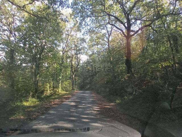 Rustico in vendita a Cornocchio di Fondo, Barberino Di Mugello