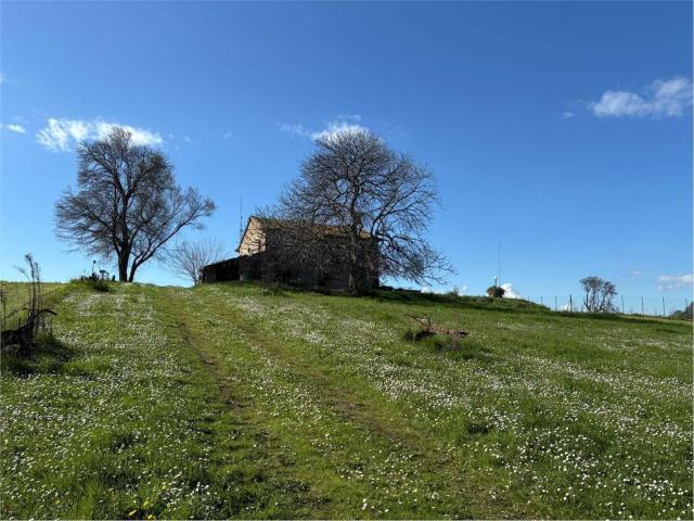 Rustico in vendita a Montecchio, Pesaro e Urbino