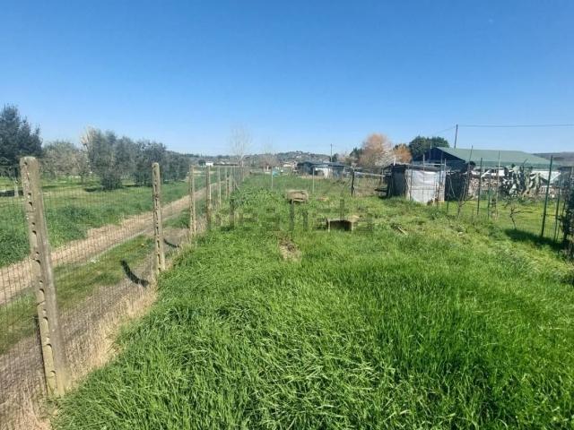 Rustico in vendita a Unione dei Comuni Circondario dell'Empolese Valdelsa, Empoli
