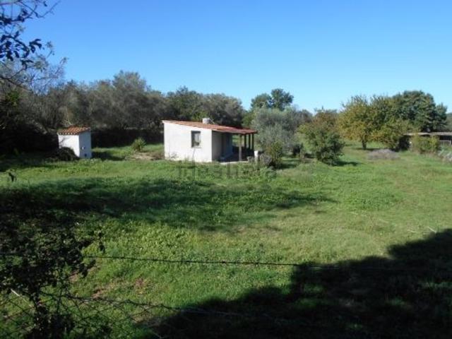 Rustico in vendita a Bandita, Barbarano Romano