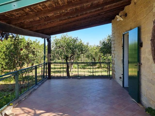 Rustico in vendita a Francofonte, Sicilia