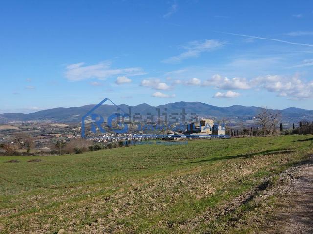 Rustico in vendita a Castiglione In Teverina, Lazio
