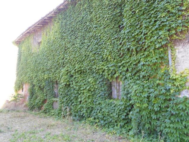 Rustico in vendita a Terra di Mezzo, Re