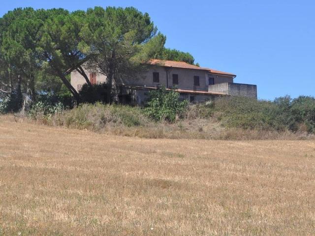 Rustico in vendita a Bibbona, Toscana