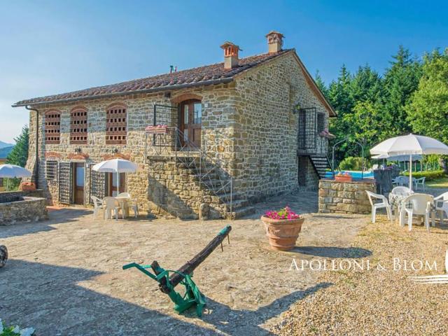 Rustico in vendita a Unione di Comuni Valdarno e Valdisieve, Pelago