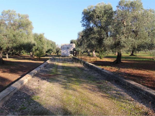 Rustico in vendita a Pantanagianni, Puglia