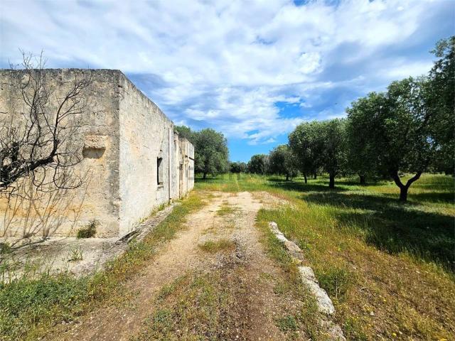 Rustico in vendita a Carovigno, Brindisi