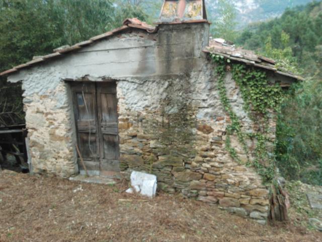 Rustico in vendita a Castello, Tonfano
