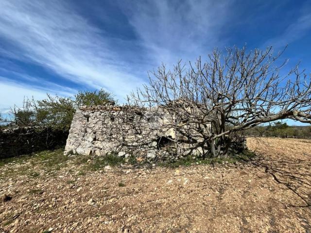 Rustico in vendita a Puglia, Bari