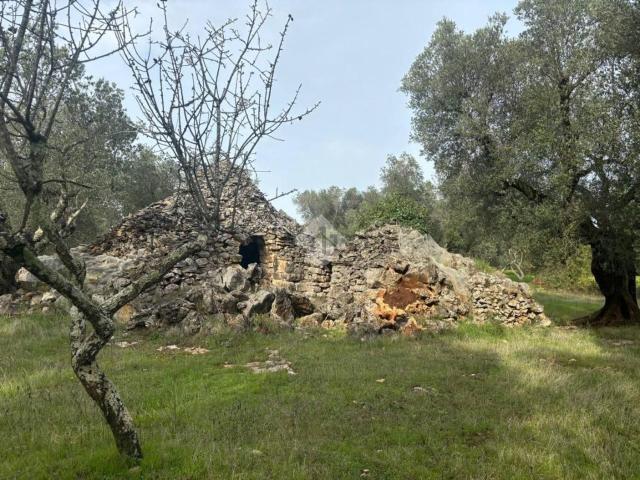 Rustico in vendita a Puglia, Taranto