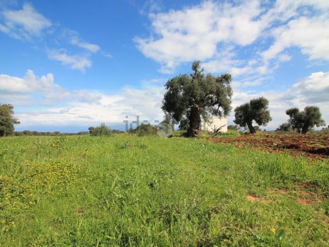 Rustico in vendita a Puglia, Brindisi