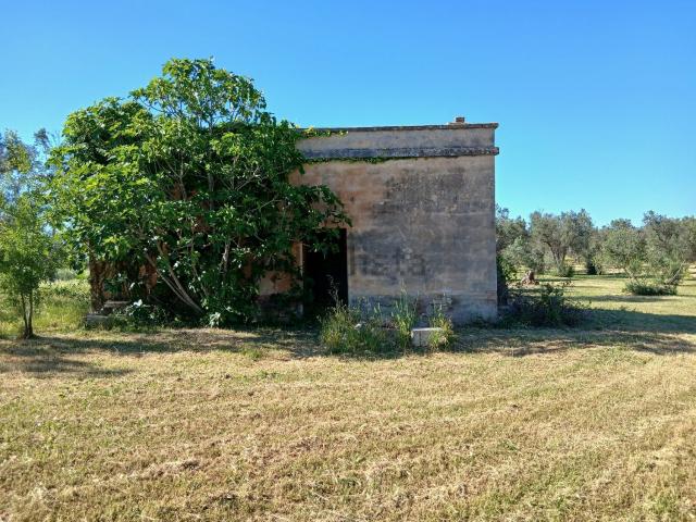 Rustico in vendita a Puglia, Brindisi