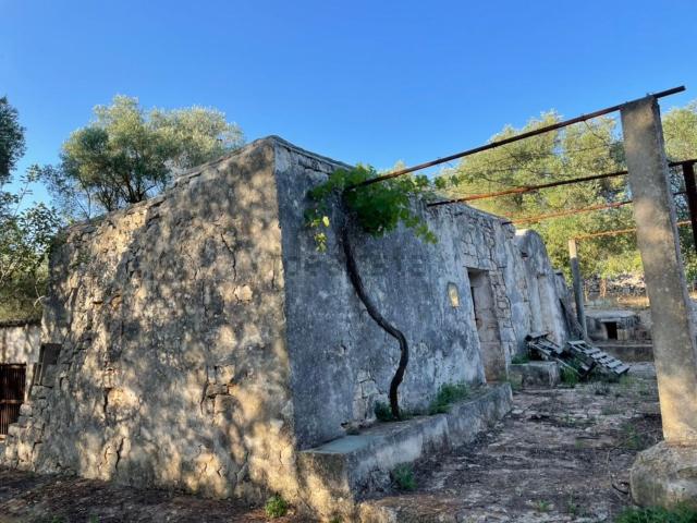 Rustico in vendita a Puglia, Brindisi