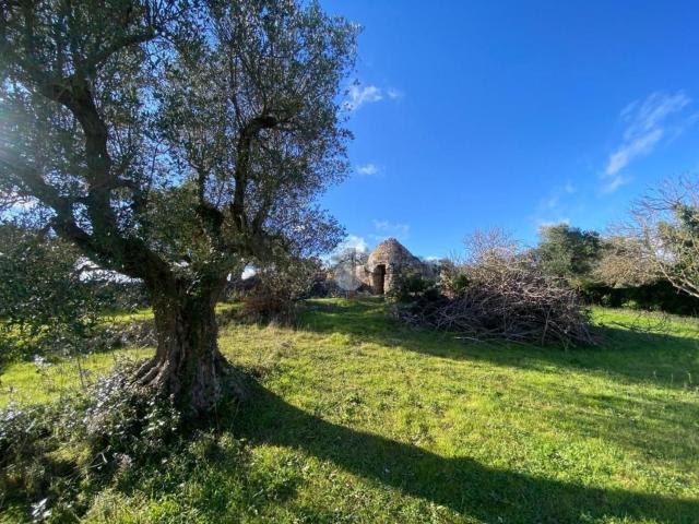 Rustico in vendita a Puglia, Brindisi