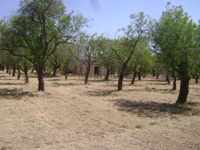 Rustico in vendita a Noto, Sicilia
