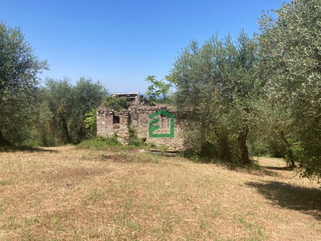 Rustico in vendita a Giove, Umbria