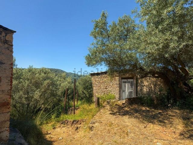 Rustico in vendita a Monte Argentario, Pozzarello