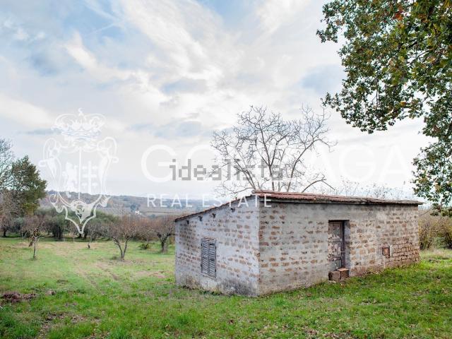 Rustico in vendita a Gallese, Lazio
