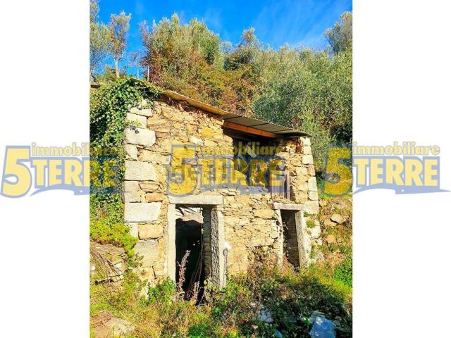 Rustico in vendita a Riomaggiore, Liguria