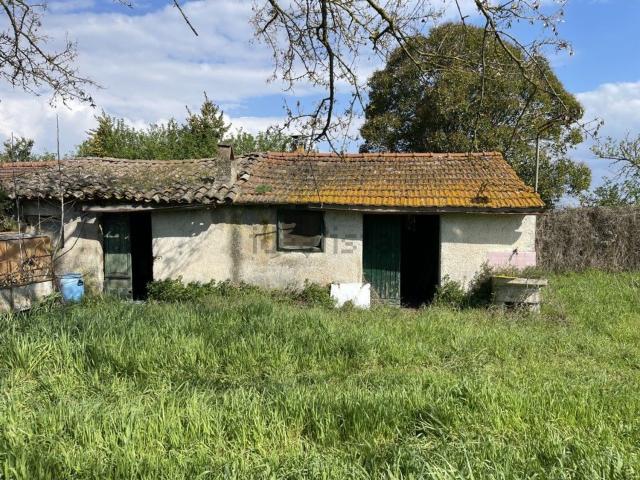 Rustico in vendita a Capodimonte, Lazio
