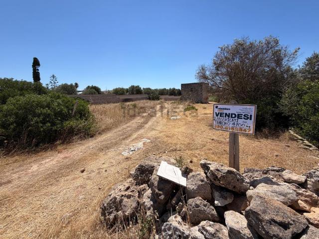 Rustico in vendita a Puglia, Taranto
