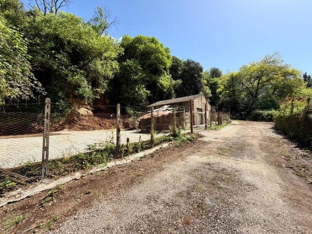 Rustico in vendita a Roma Capitale, Lazio