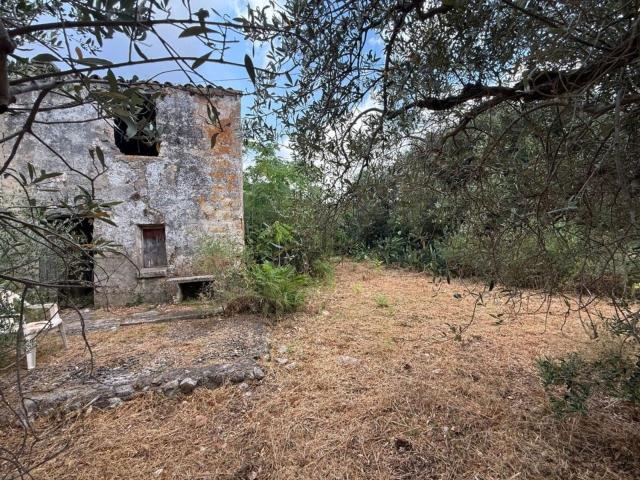 Rustico in vendita a Castelluzzo, San Vito Lo Capo