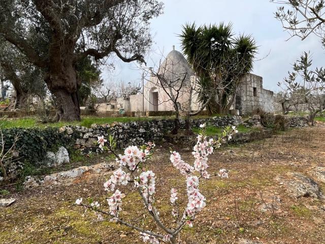 Rustico in vendita a Puglia, Brindisi