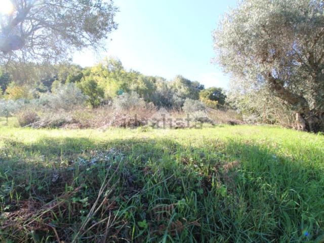 Rustico in vendita a Calabria, Cosenza