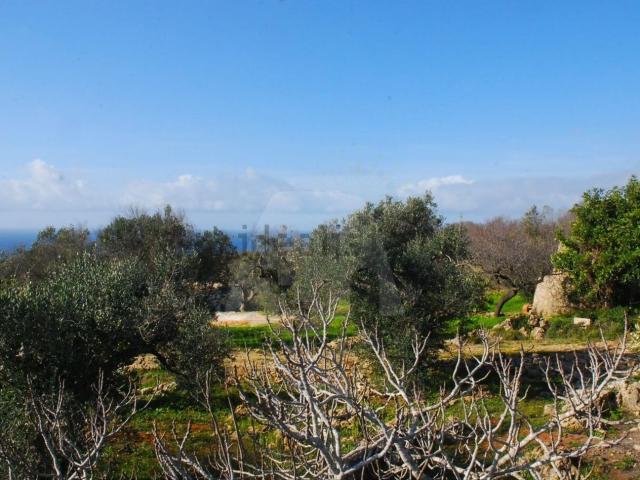 Rustico in vendita a Puglia, Lecce