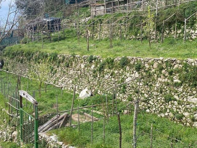 Rustico in vendita a Agerola, Campania