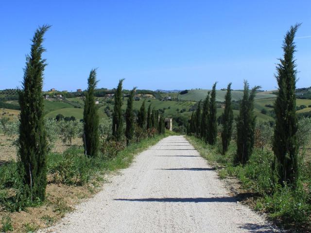 Rustico in vendita a Bellante, Abruzzo