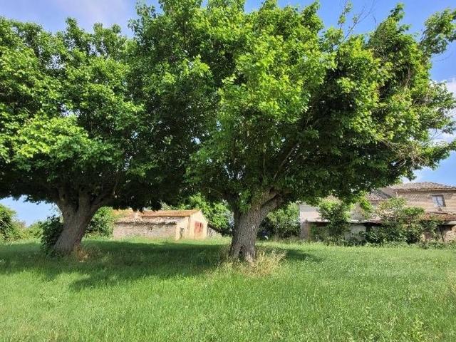 Rustico in vendita a Marche, Ancona