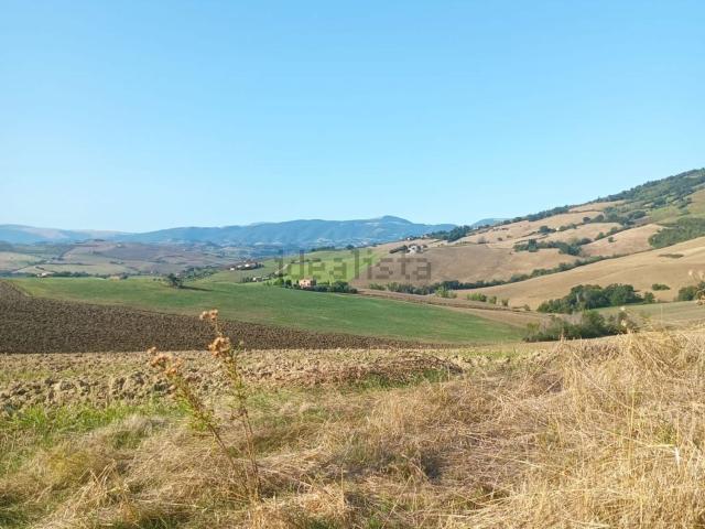 Rustico in vendita a Contrada Vallonica, Marche