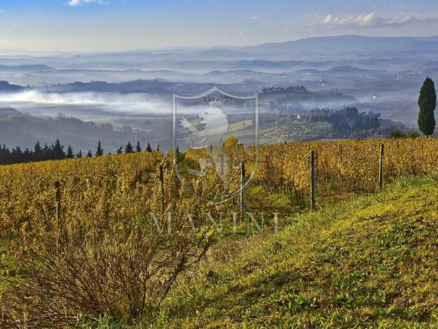 Rustico in vendita a Unione dei Comuni Circondario dell'Empolese Valdelsa, Montespertoli