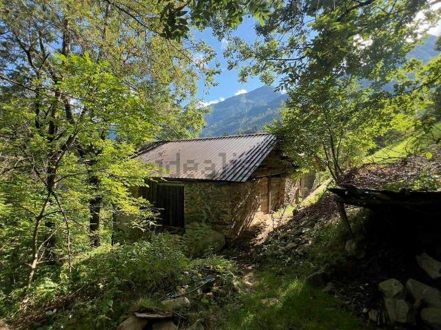 Rustico in vendita a Pedesina, Lombardia