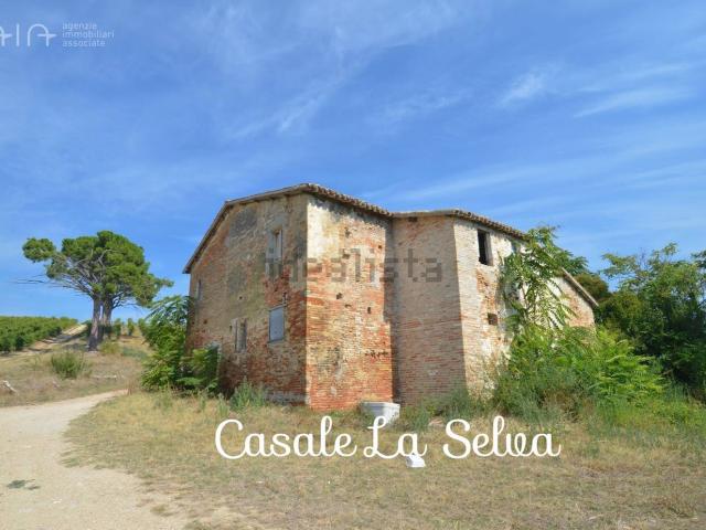 Rustico in vendita a Marche, Ascoli Piceno