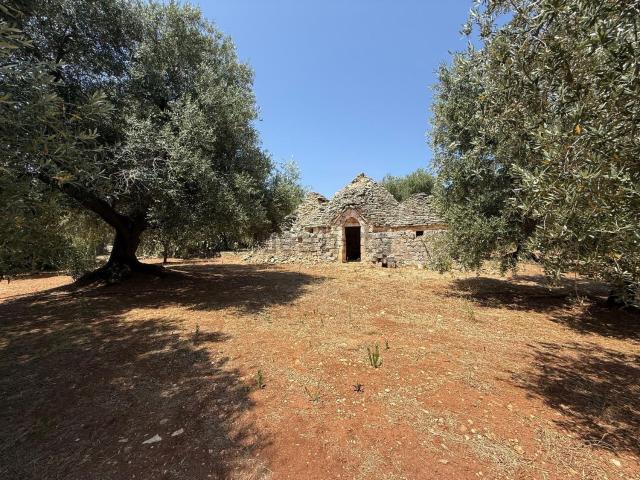 Rustico in vendita a Puglia, Brindisi