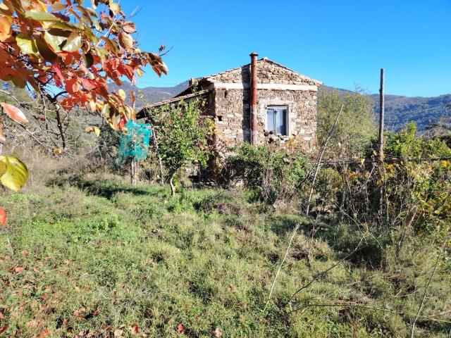 Rustico in vendita a San Mauro Cilento, Campania