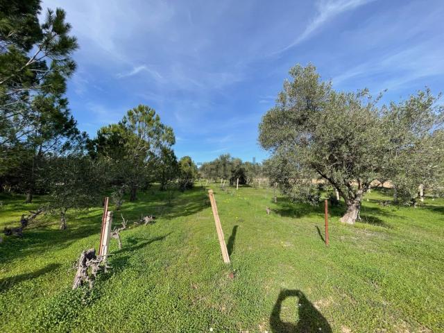 Rustico in vendita a Is Ammostus, Quartu Sant'elena