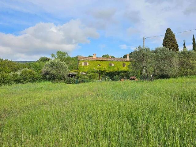 Rustico in vendita a Castellina Marittima, Toscana