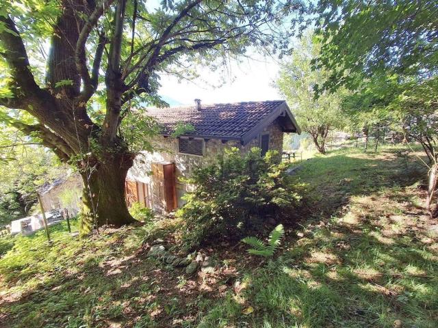 Rustico in vendita a Gera Lario, Lombardia