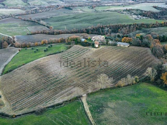 Rustico in vendita a Allerona, Terni
