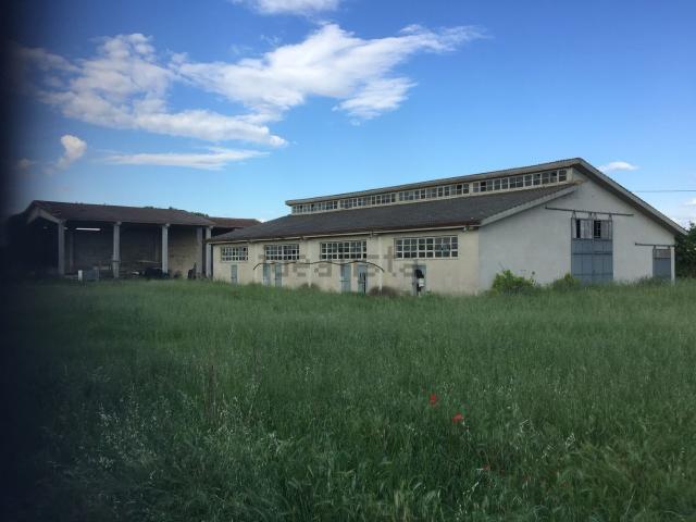 Rustico in vendita a Nogarole Rocca, Veneto